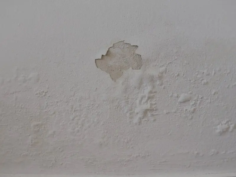 Traitement humidité murs Louhans — BATIMM RENOV